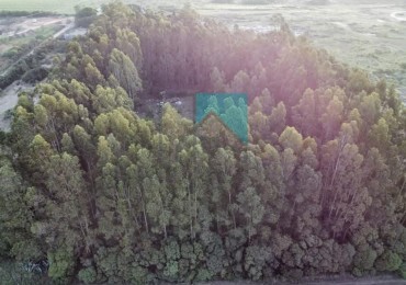 LOTE - TERRENO EN ESTACION CAHPADMALAL - OPORTUNIDAD - BAJO DE PRECIO - Apto credito